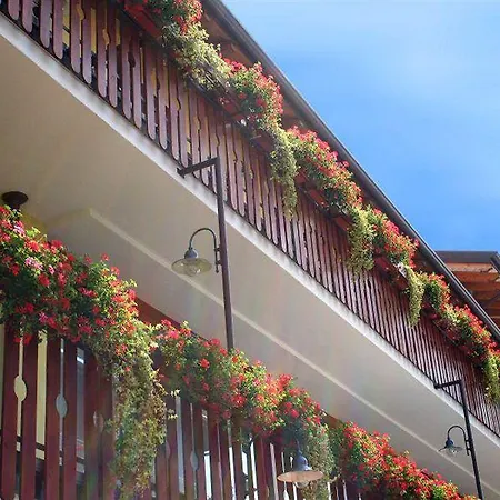 Romantic Hotel 3*